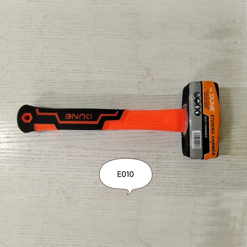 E010